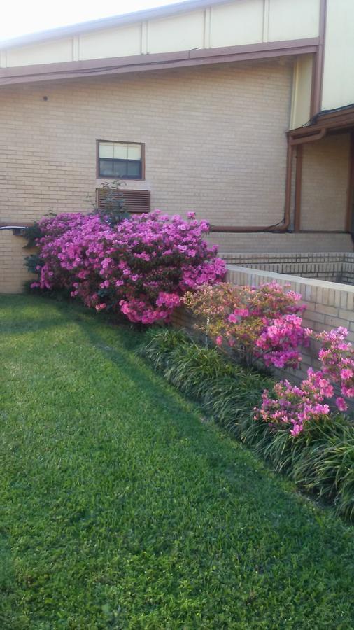 Spanish Trace Inn Αθήνα Εξωτερικό φωτογραφία